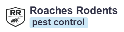 #1 Local Exterminator